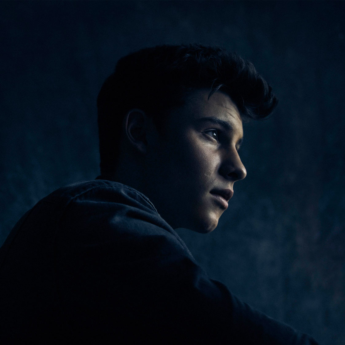 Shawn Mendes image