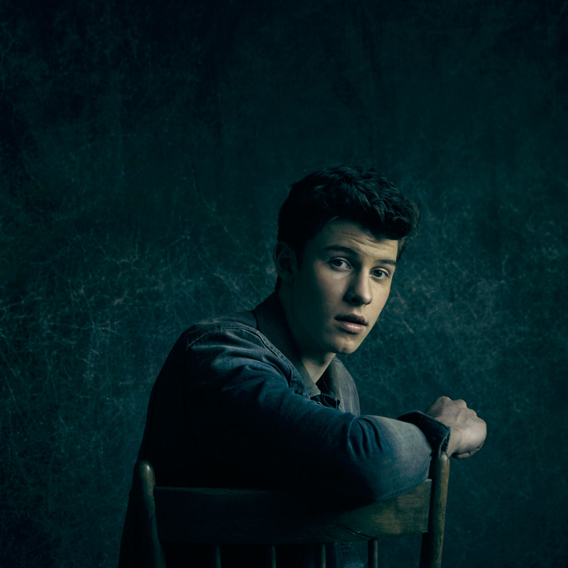 Shawn Mendes image